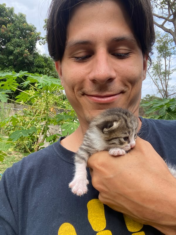 Venezuelan resident documents home garden plants and kittens