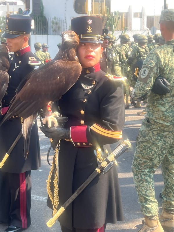 Military parade with ceremonial units and vehicles observed