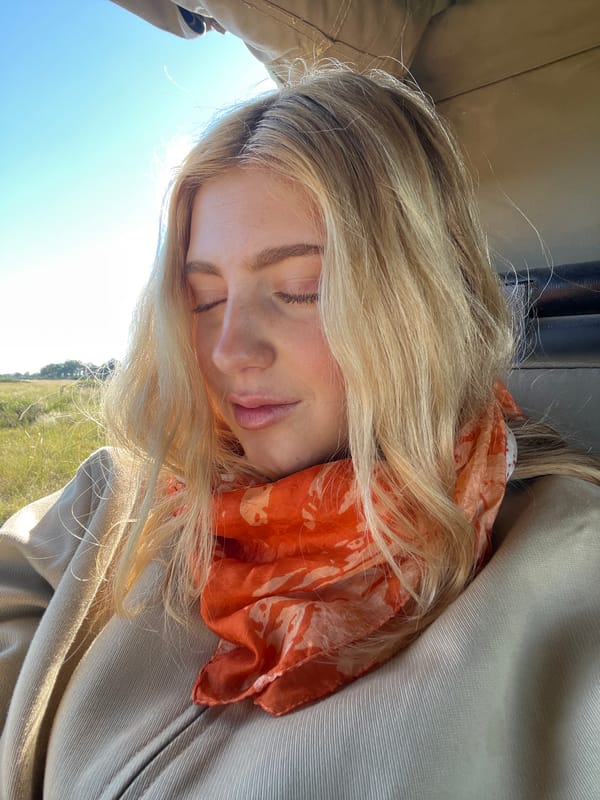 Tourist in orange scarf observes giraffes from safari vehicle