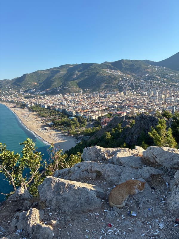 Cat naps on rocks above Alanya's Mediterranean coastline
