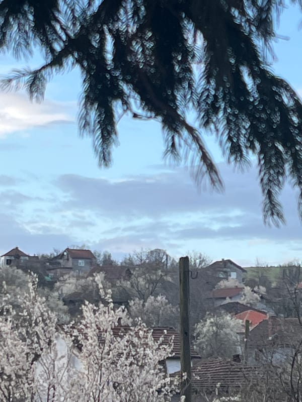 Rural morning scenes with chickens and hillside views in Bulgaria