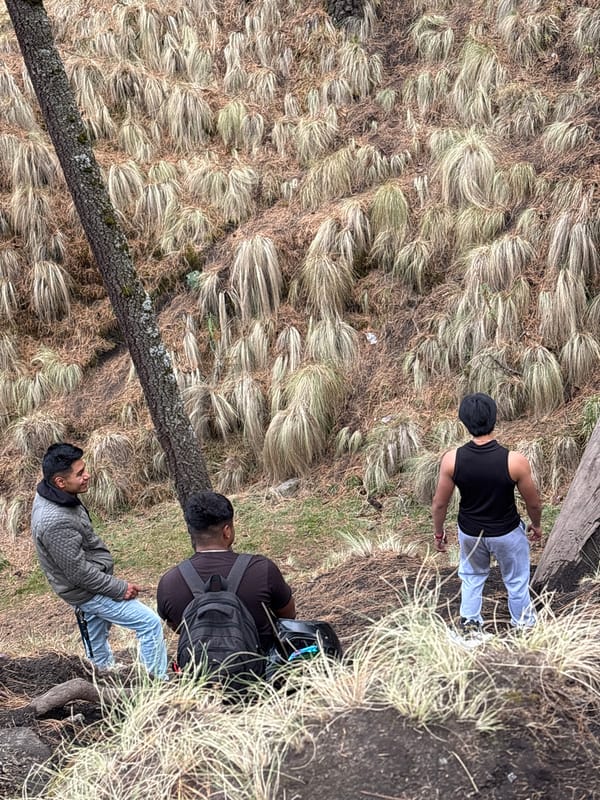 Group gathers in Izta-popo forest for outdoor activity