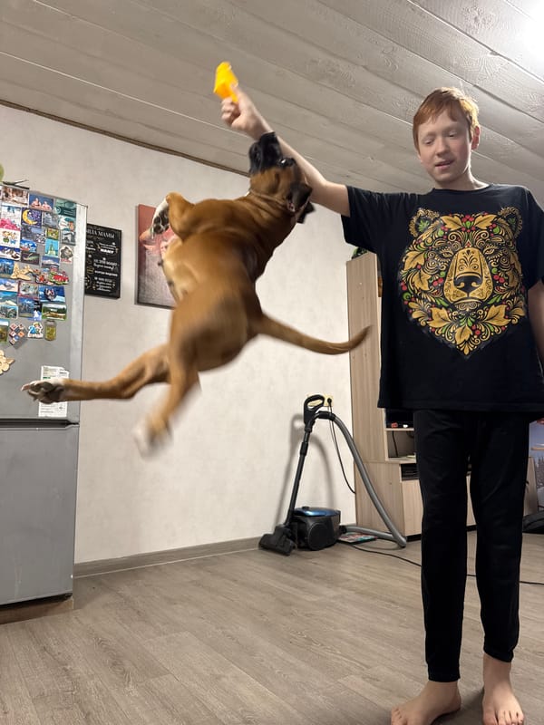 Woman walks boxer dog through winter scenes in Chaikovsky