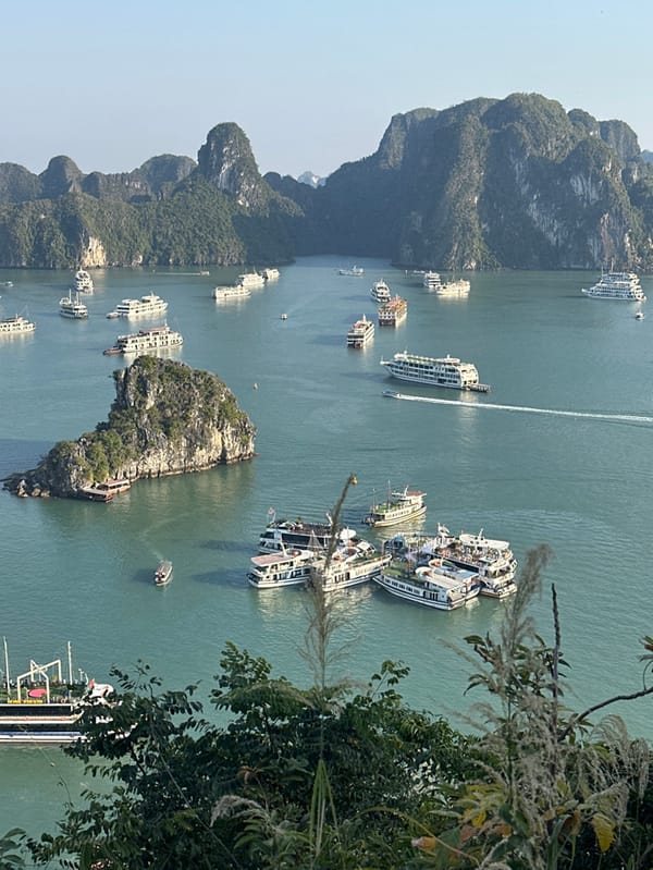 Morning views captured of Ha Long Bay's limestone islands
