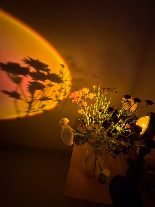 Indoor moments captured in Kuta Selatan: flowers, laptop, anime