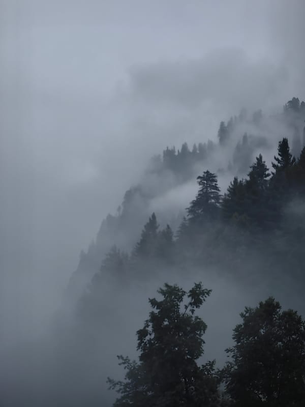 Fog blankets Vashisht's forested mountains and valley town
