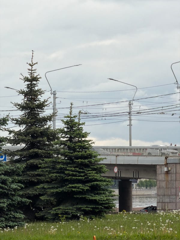 Independent witness documents routine Saint Petersburg street scenes over 10 minutes