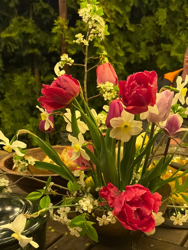 Evening outdoor dining setup documented in Sapronovo, Russia