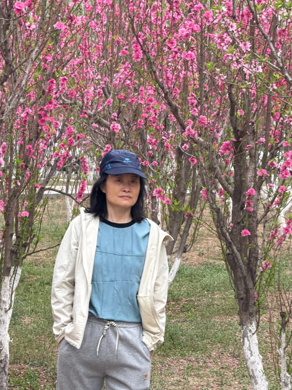 Morning street life and spring blooms observed in Zhongtun
