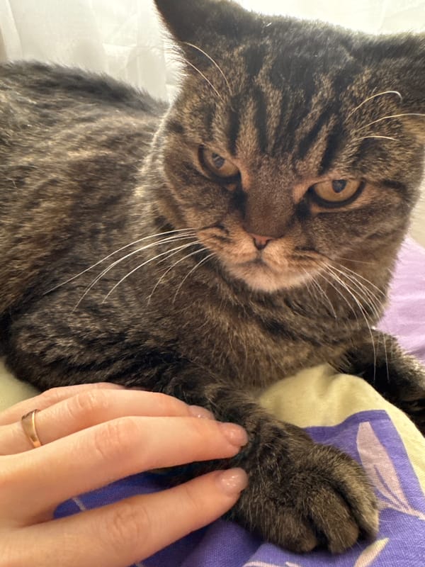 Woman and tabby cat share quiet morning moments in Perm