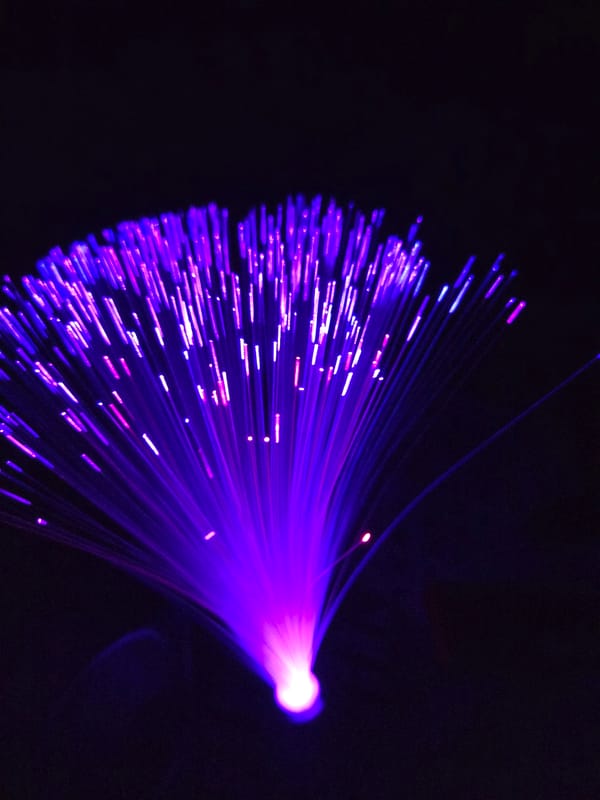 Spring flowers and fiber optics documented in Bulgarian home