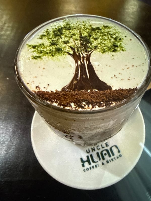 Coffee art and a playful calico cat in Khabarovsk