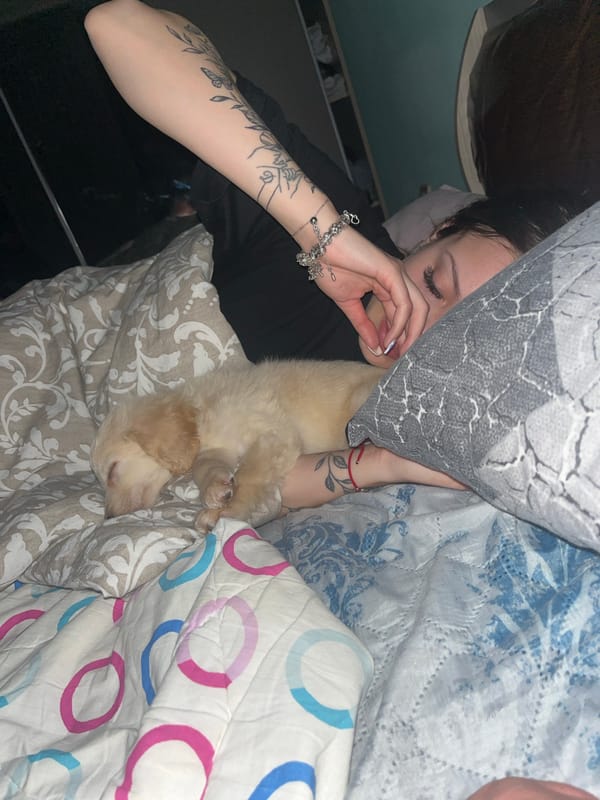 Woman bonds with small dog in bedroom in Bulgaria