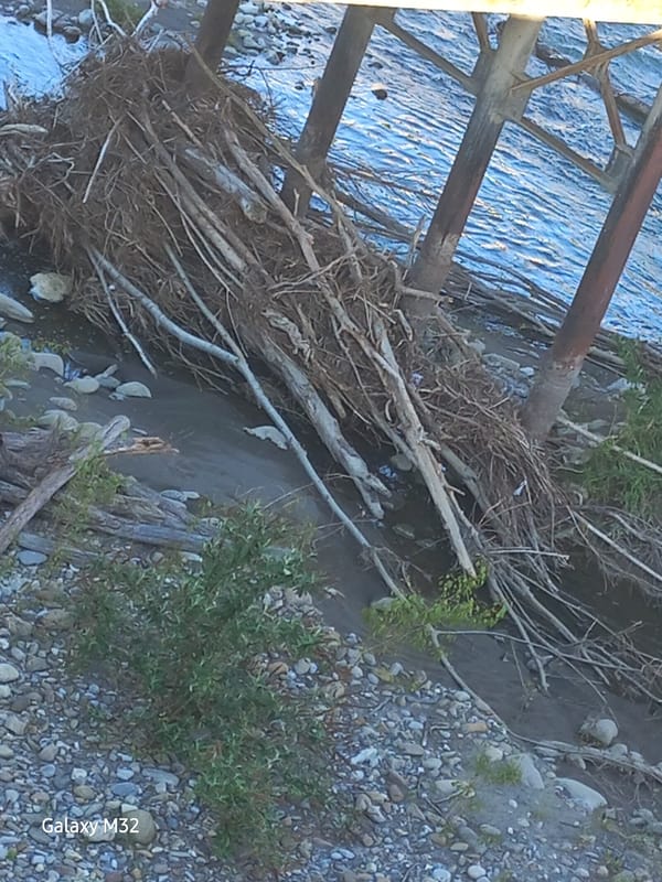 Quiet afternoon documented along Sochi's river bridges and neighborhoods