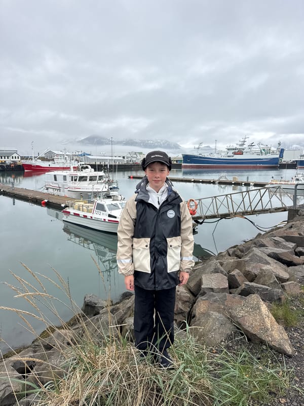 Routine harbor scenes documented in Höfn, Iceland