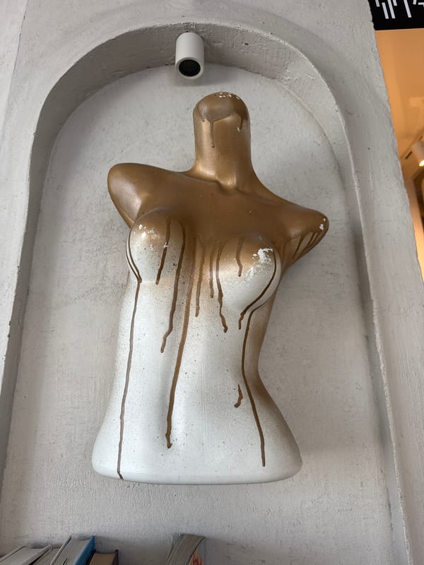 Dog interactions captured during morning gathering in Ungasan Indonesia