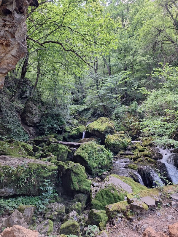 Forest stream with waterfall documented by visitors in Zasele Bulgaria