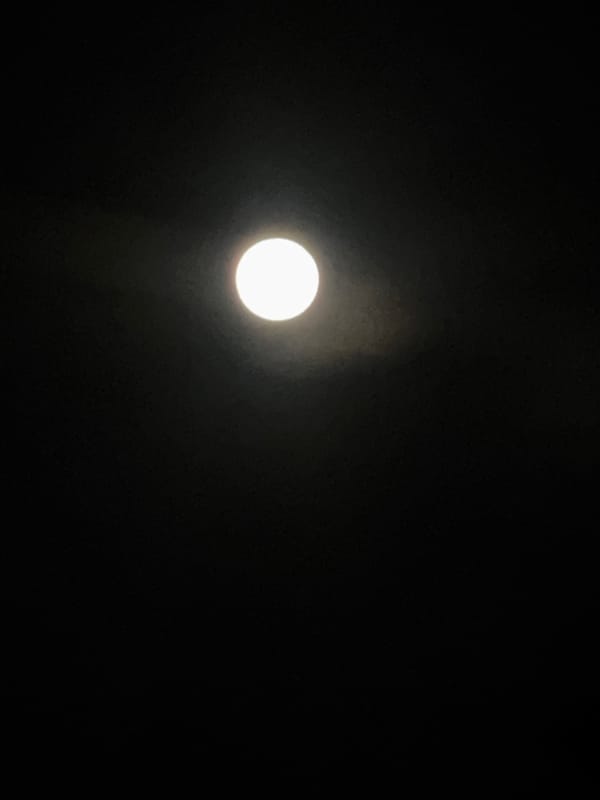 Evening moon and city lights observed across Ramat Gan