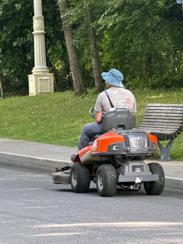 Summer day at a Moscow lakeside park, mid-July 2026