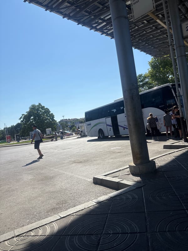 Selfie session at an outdoor transit area on a clear day