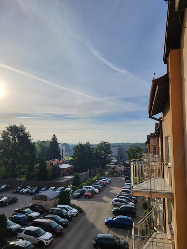Morning residential life documented: cats, parking lots, sunny skies
