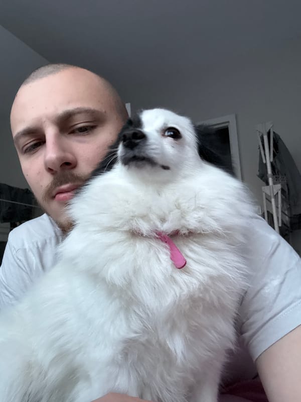 Man documents leisurely afternoon with pet dog in Bulgaria