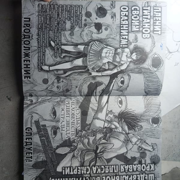 Russian Attack on Titan manga collection documented by witness