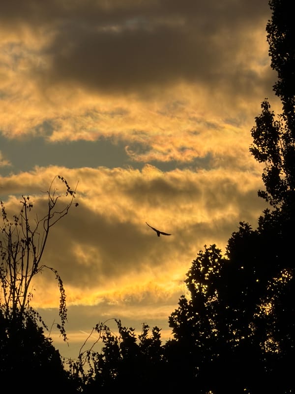 Golden sunset clouds over Esch-sur-Alzette skyline