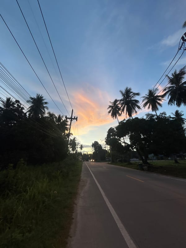 Motorcycles navigate wet tropical road during golden hour, Koh Phangan