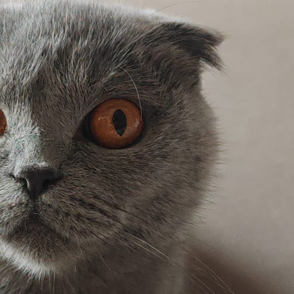 Quiet Sunday afternoon moments captured across Hrodna households