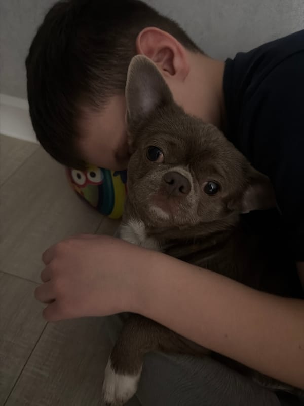 Child plays with tool case on bed in Votkinsk