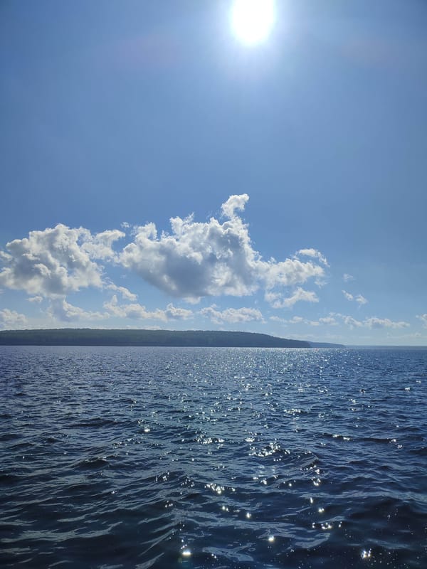 Open ocean cruising under a bright sunny sky