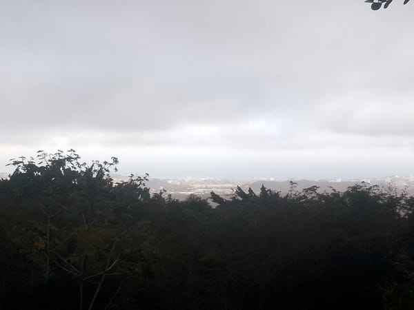 Overcast cityscape viewed through dense forest in Las Piedras