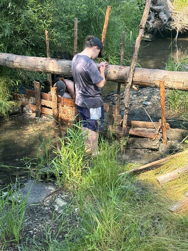 Hands-on work beside a log-bridged stream in rural Czechia