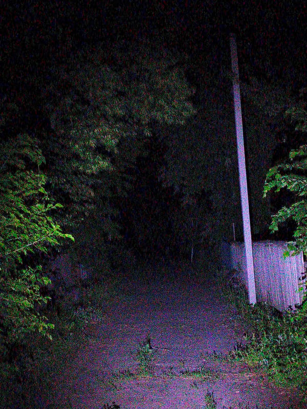 Nighttime rural documentation session captures moon, crops in Ustyvytsia Ukraine