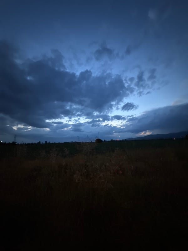 Evening storm and street dog documented in Yana, Bulgaria