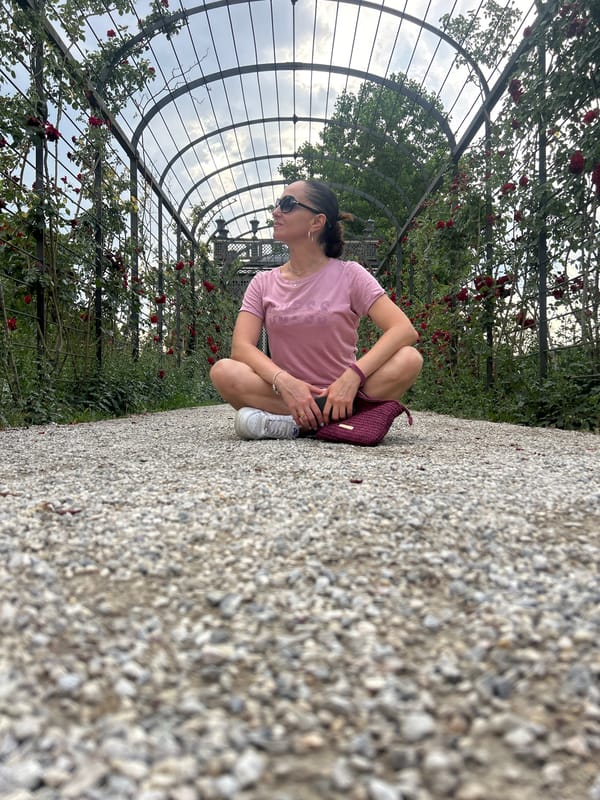 Afternoon at Schönbrunn Palace gardens, Vienna
