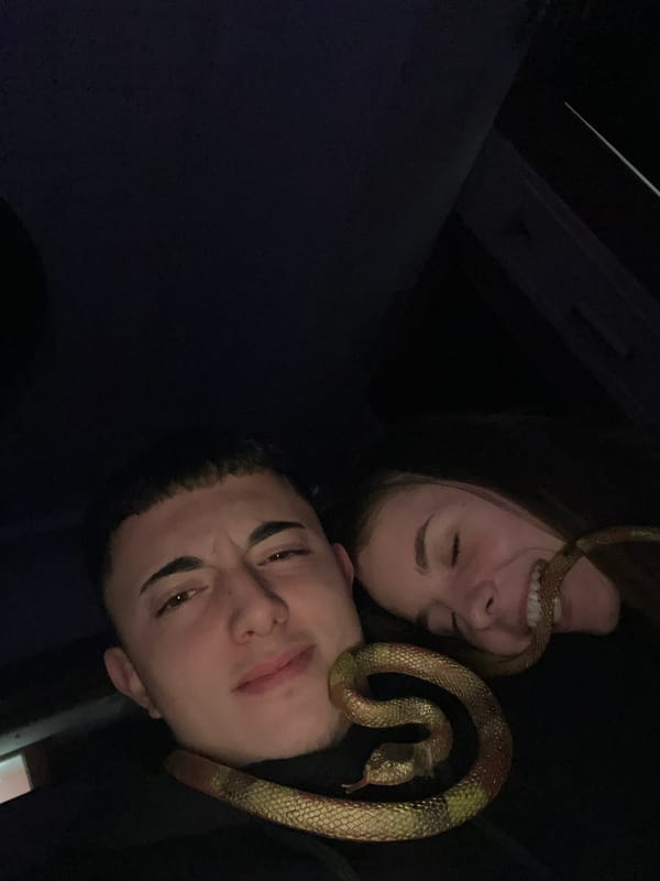Young people photographed with snake in Nova Zagora