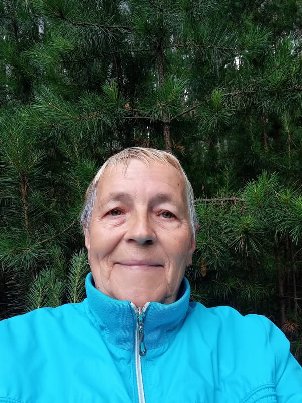 Forest walk through Degtyarsk woods, summer 2026