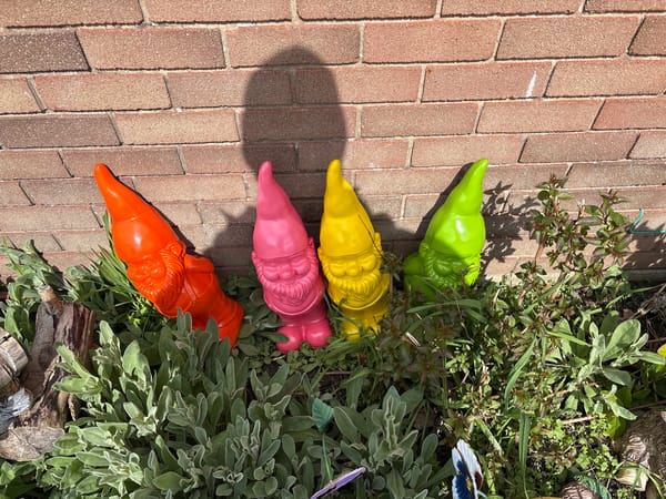 Colorful Garden Gnomes Spotted in Minsterley Yard