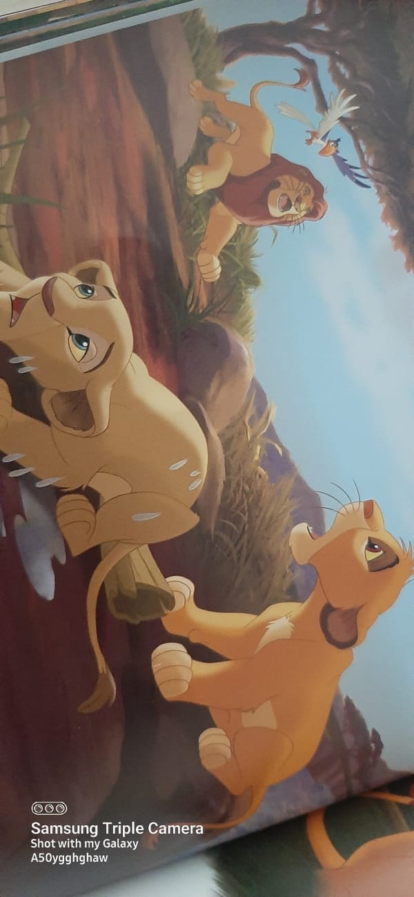 Dubai witness documents children's book illustrations over three hours