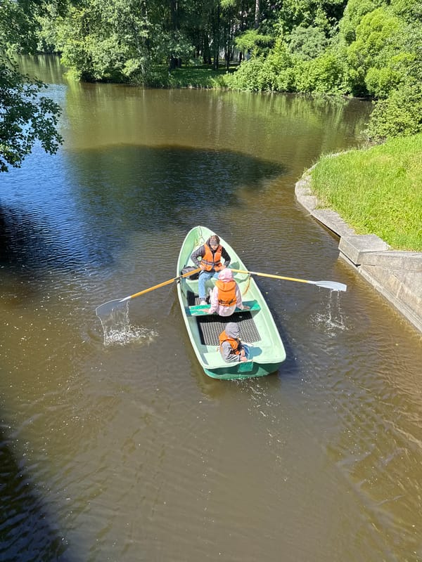 Morning activities across Saint Petersburg parks and waterways