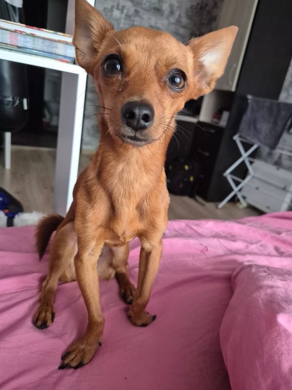 Personal photos document quiet morning moments in Chaikovsky, Russia