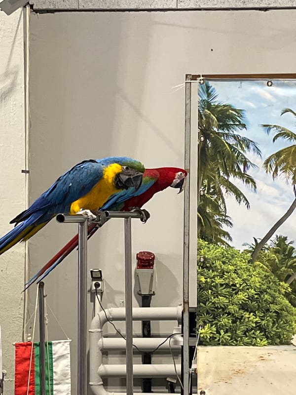 Exotic birds and tropical fish displays documented in Sofia