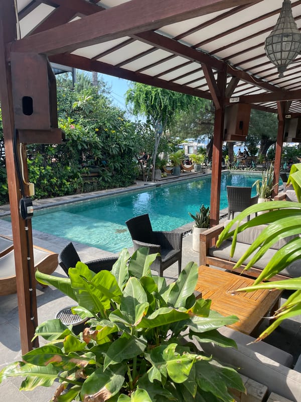 Poolside, beachfront, and shaded tree — a tropical day out