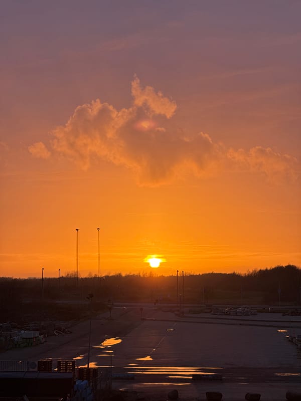 Copenhagen sunset captured by witnesses, tropical fruits at market