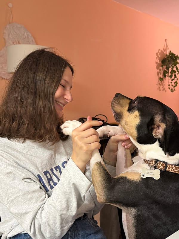 Woman plays with dogs at home in Tel Aviv