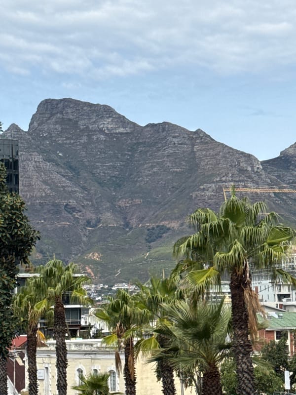 Cape Town visitor documents Table Mountain and harbor views