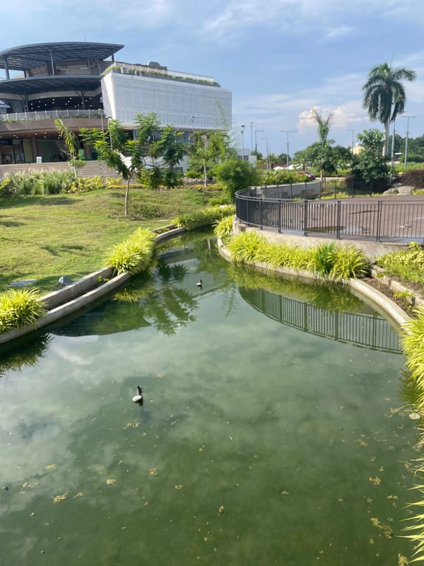 Davao City's Veranda complex and a nearby flower market