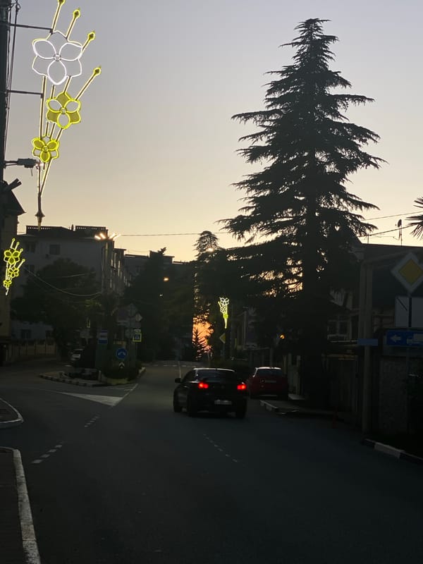Evening street scenes and university views documented in Sochi